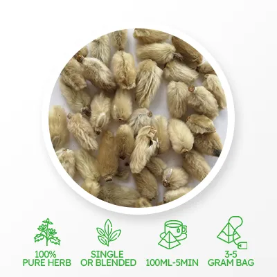 Wholesale Dry Biond Magnolia Flower
