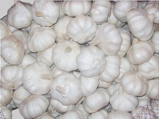 20kg Mesh Bag Packing Pure White Garlic Fresh Garlic