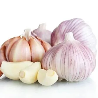 Chinese Fresh Vegetables Shandong Origin Normal White Garlic in Bulk Wholesale