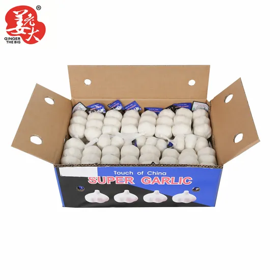 2024 New Crop Chinese Normal White Garlic /Pure White Garlic/Fresh Garlic