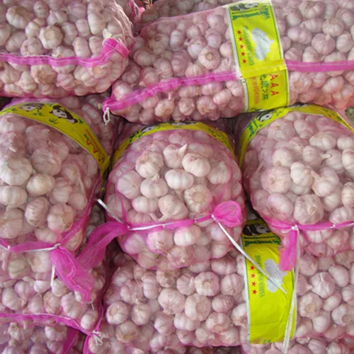 Chinese Low Price Fresh Garlic 2022