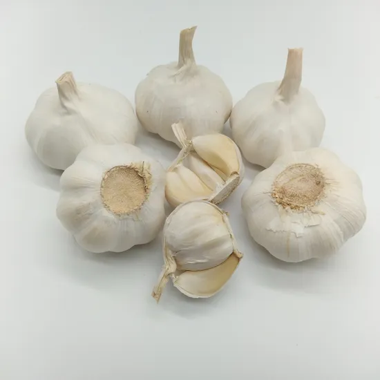 Fresh Garlic 5.0cm Export Qualtiy Factory Price