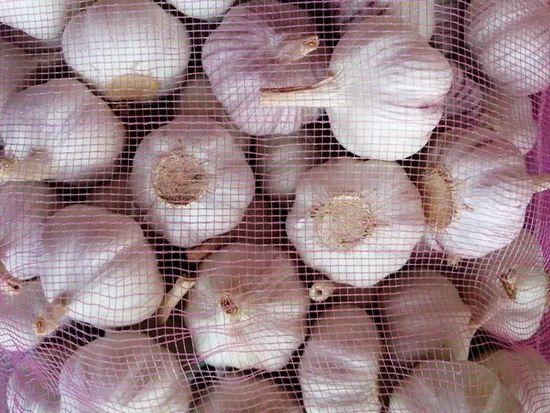 Healthy Organic Garlic in 20kg Mesh Bag for Gourmet Recipes