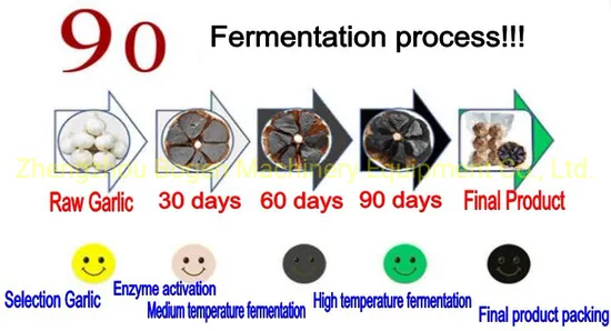 Best Price Best Quality Black Garlic Fermenter Machine