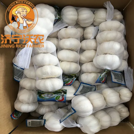 Low Price Fresh Garlic Normal/Pure White Garlic From China