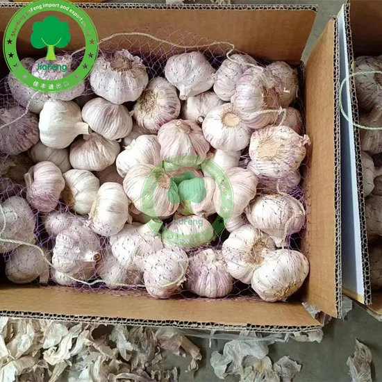 China Factory Price Garlic Food International Certified 5.0 Fresh Garlic