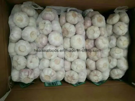 Chinese Fresh Normal White Garlic 5.5+