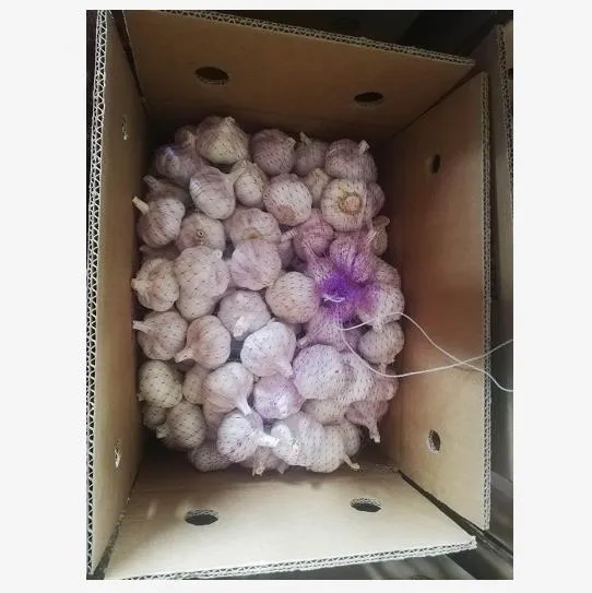 China 5.0cm Normal White Garlic with High Quality