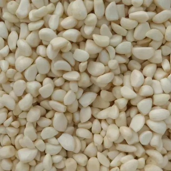 Chinese Good Quality Normal White Garlic/Peeled Galic
