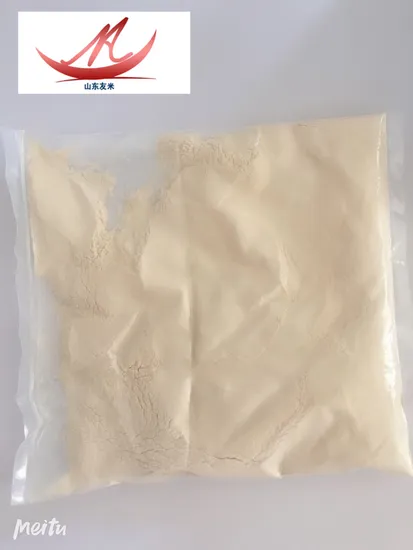 Food Grade Dehydrated Garlic Powder with Best Price