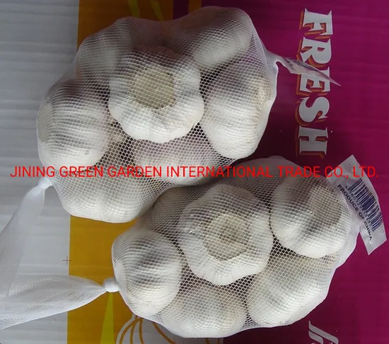 Chine New Crop Normal White Garlic / Red Garlic / Purple Garlic