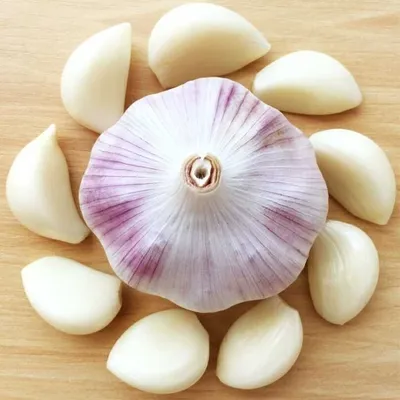 Cheap Prices Fresh Garlic From China