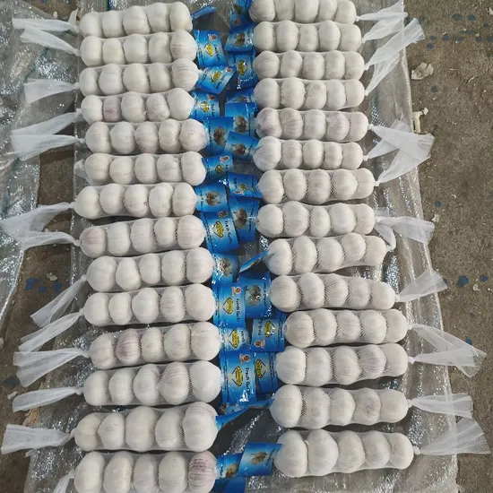Cheap Wholesale Top Quality Fresh Peeled Garlic in Bulk Export Lebanon 3.0-4.0cm 2kg Bag