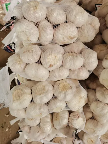 2020 Crop Middle East Top Quality Small Packing Fresh Garlic