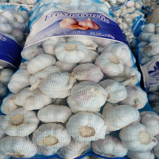 2024 Hot Sale Fresh Vegetables Shandong Normal White Garlic for Seasoning