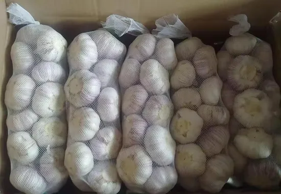 Fresh Garlic Exporter of Garlic in China, Chinese Garlic