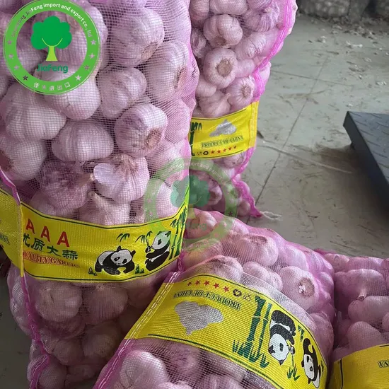 Inexpensive Price Organic Fresh Garlic Wholesale Fresh Garlic in China