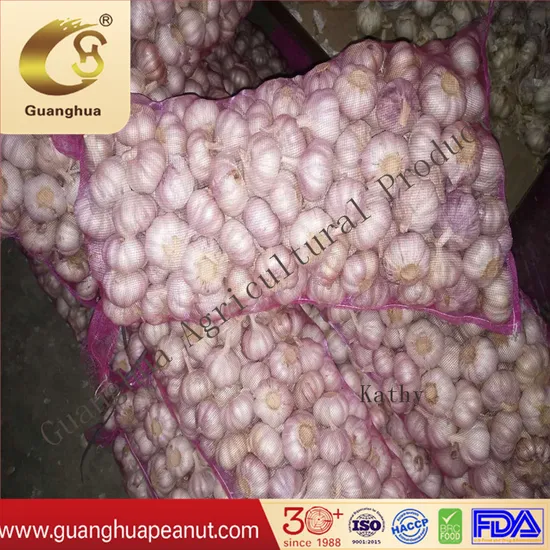 Exporting Quality Normal/Pure White Garlic