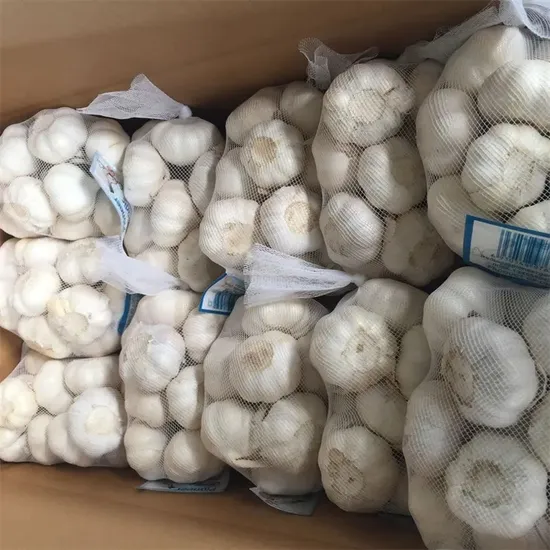 Hot Sales Garlic and Onion and Chinese Garlic Seed for Lower Price