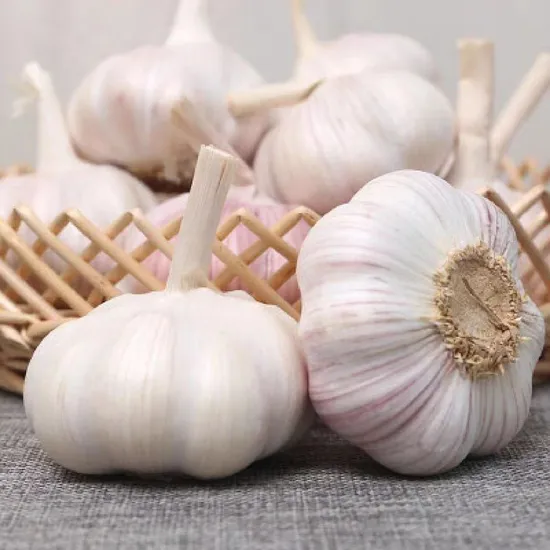 China′s Premium Red Garlic Wholesale Export 4.0