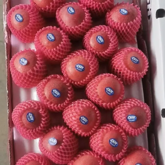 High Quality Red Star Penglai Gansu Sahnxi Whole Red FUJI Qinguan Gala Red Star Apple 100PCS