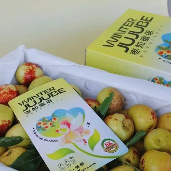 Excellent Quality Fresh Sweet Apple Dates Fresh Jujube Fruits Winter Jujube