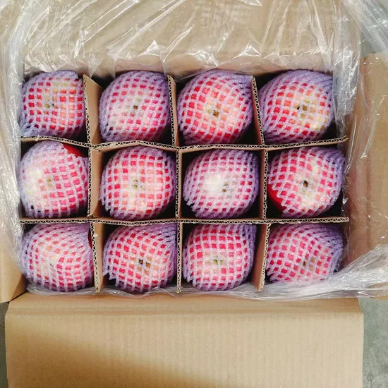 Fresh Full Red FUJI Apples From China – Premium Quality