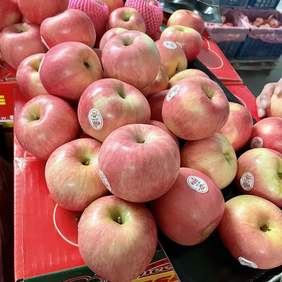 Chinese Fresh FUJI Apple Hot Selling