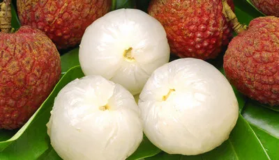 Best Flavor Canned Lychee in Light / Heavy Syrup for Whole Sale
