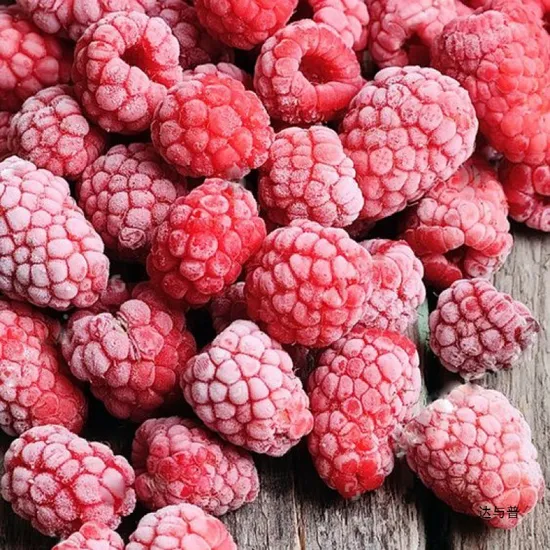 Premium IQF Frozen Whole Red Sweet Raspberries