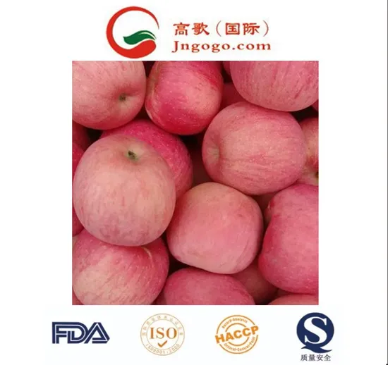 Super Fresh Apples in Size 64
