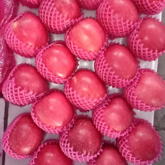 Fresh Red FUJI Apple Fruit From China Fresh Fruit Natural Organic Red Apples Cheap Price 18kg 20kg Carton