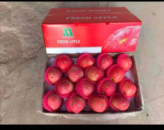 Red FUJI Apple /Yantai FUJI Apple Shanxi FUJI Apple - Good Quality-Laiwu Manhing