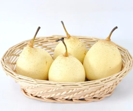 New Crop Chinese Fresh Pear/Ya Pear/Golden Pear/Shandong Pear