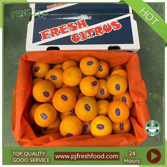 Fresh Mandarin Sweet and Premium Quality Wogan Mandarin Price