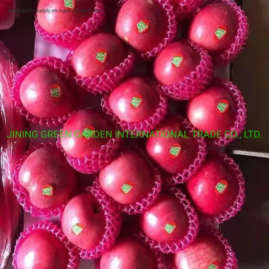2021 FUJI Apple Yantai China Mature Apple Nutritious Juicy and Sweet