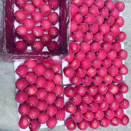 Sweet and Fresh Red FUJI Apples for Health-Conscious Families Shandong Yantai