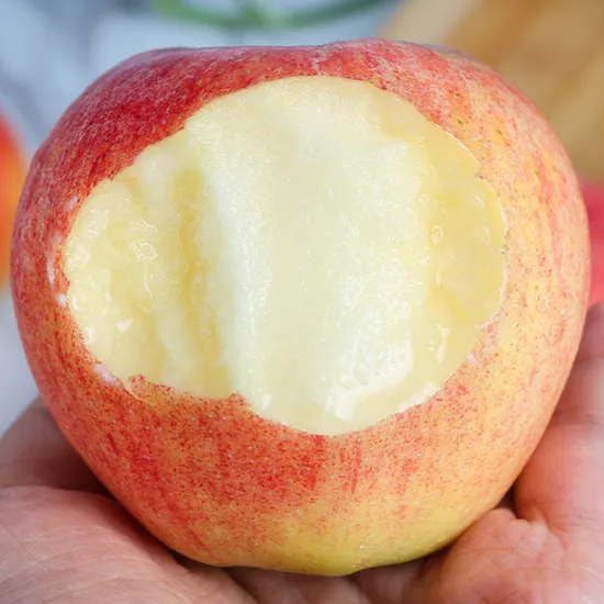 Wholesale OEM Preserved Hot Sale Fresh Red Star Gala FUJI Apple Fruit