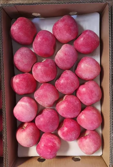 Chinese Fresh Fruits FUJI Apples New Crop