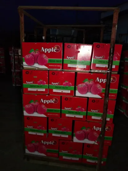 China New Fresh Fruits Red FUJI Apples 72/88/100/113/125/138/150/163/175/198