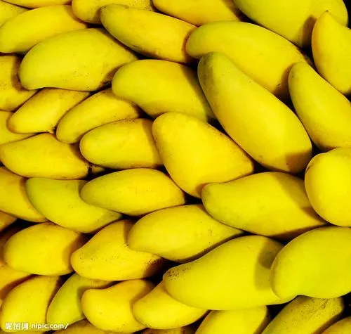 Fresh Fruit Mango Apple Sweet Soft Dried Fruit Mango Carton Package 5kg 10kg Factory Price Apple Pear