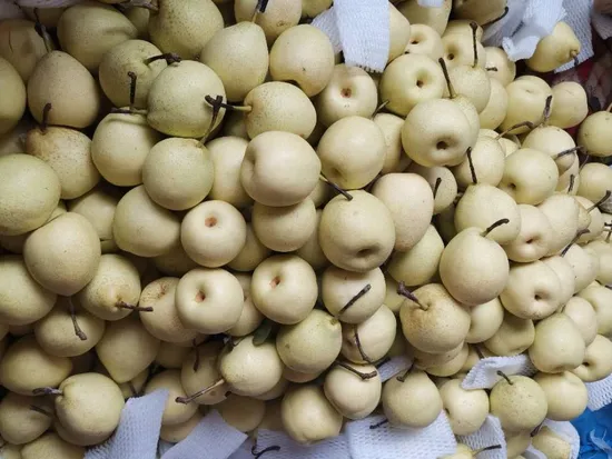 Laiwu Manhing Sweet Ya Pear