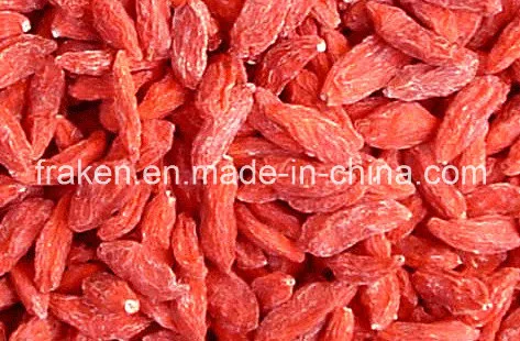 Dried Wolfberry / Goji Berry / Dried Goji
