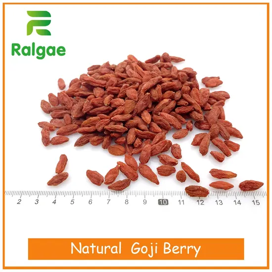 Natual Dry Goji Bery From Ningxia China 380 Grains Health Foods