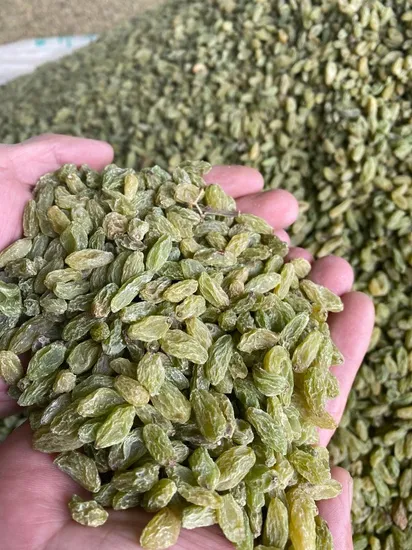 90% Green Raisins Cheap Price China Factory Supply