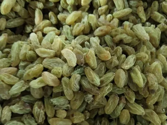 Dried Big Sise Green Raisins Dubai Demand