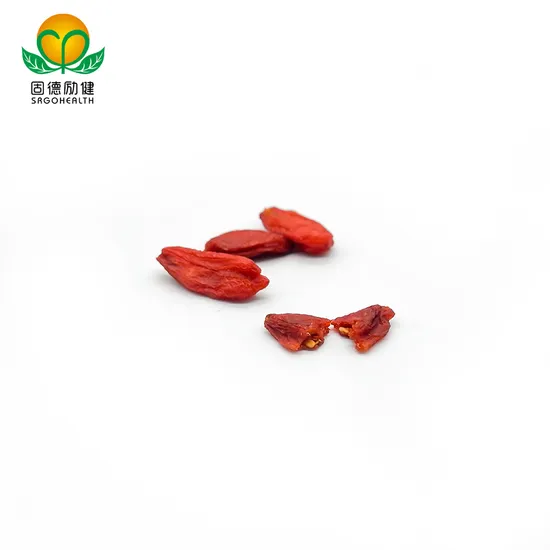 GMP Factory Supply Organic Goji Berry