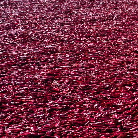 Good Price Top Quality Dry Red Whole Chili