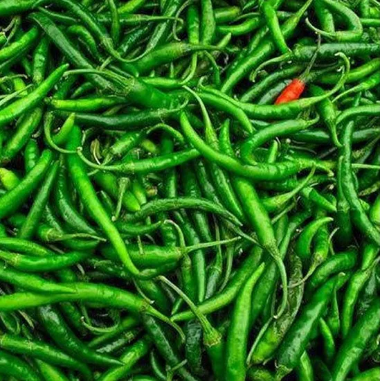 Long Green Chilli Fresh Green Chilly G4 Chilly Fresh Indian Vegetables