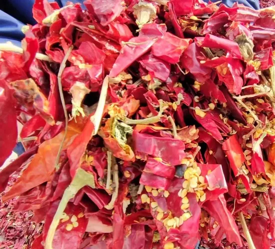 Chinese Dry Red Chilli/Red Chilli/Dried Chilli/Chilli Yidu Chilli/Er Jing Tiao/Wrinkle Chilli/Sweet Paprika/Chao Tian Chilli